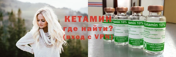 крисы Алексин