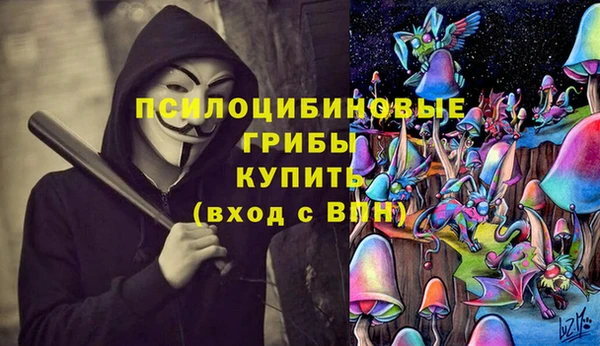 крисы Алексин