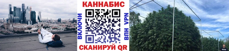 Купить  Суворов  Канабис марихуана 